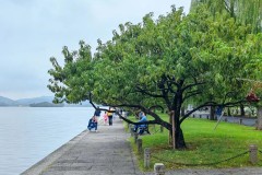 鲁沪大战泰山队球迷情绪高涨 裁判阵容公正执法引关注